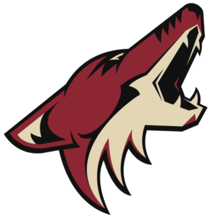Arizona Coyotes Arizona Coyotes